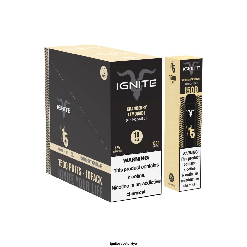 IGNITE V15 vape kalemi 10\'lu paket muzlu buz 6D6D8X11 - IGNITE Puff Price