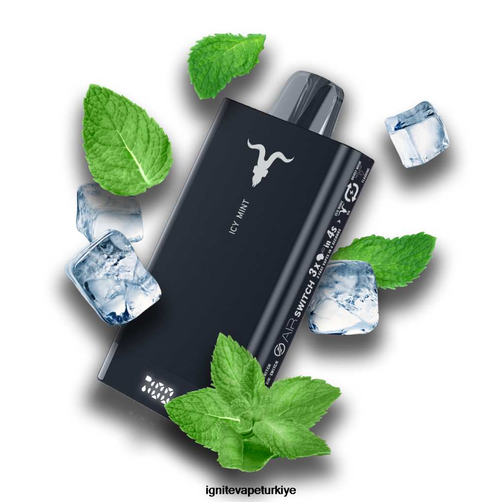 IGNITE V150 elektronik sigara kalemi buzlu nane 6D6D8X71 - IGNITE Puff Price