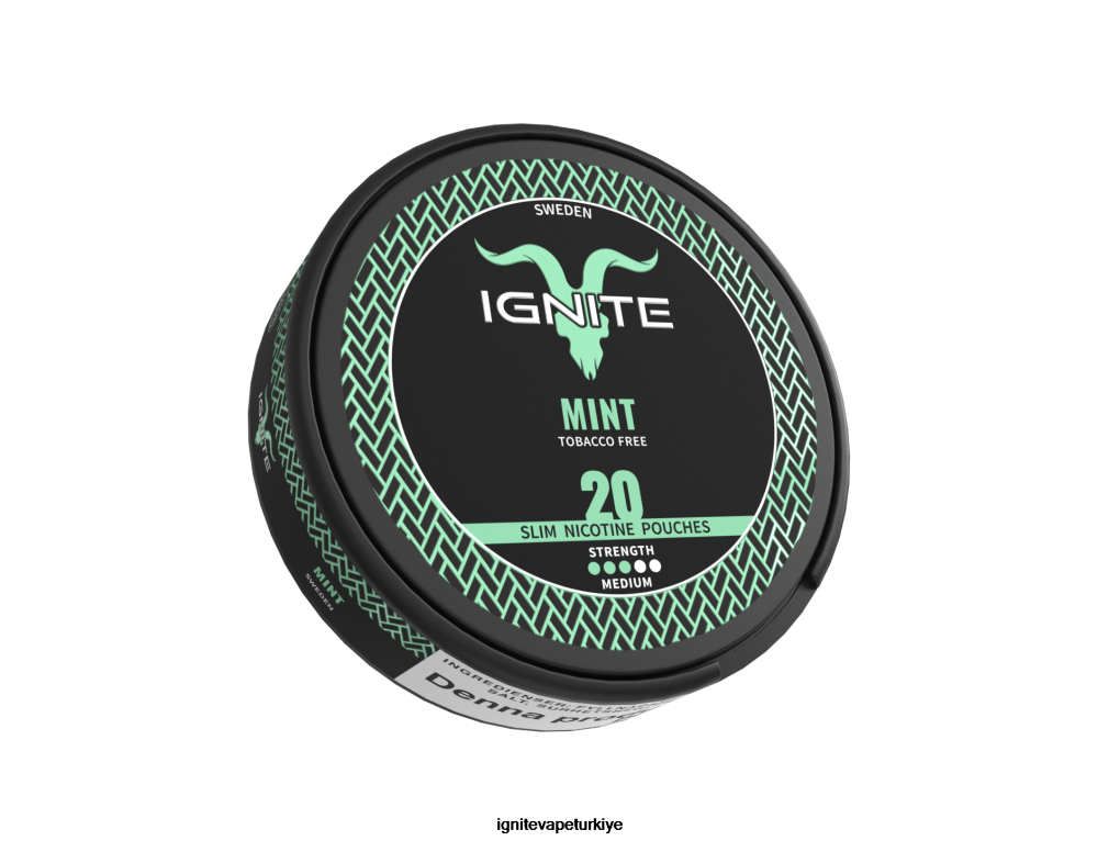 IGNITE nikotin torbalar nane 6D6D8X167 - IGNITE Türkiye